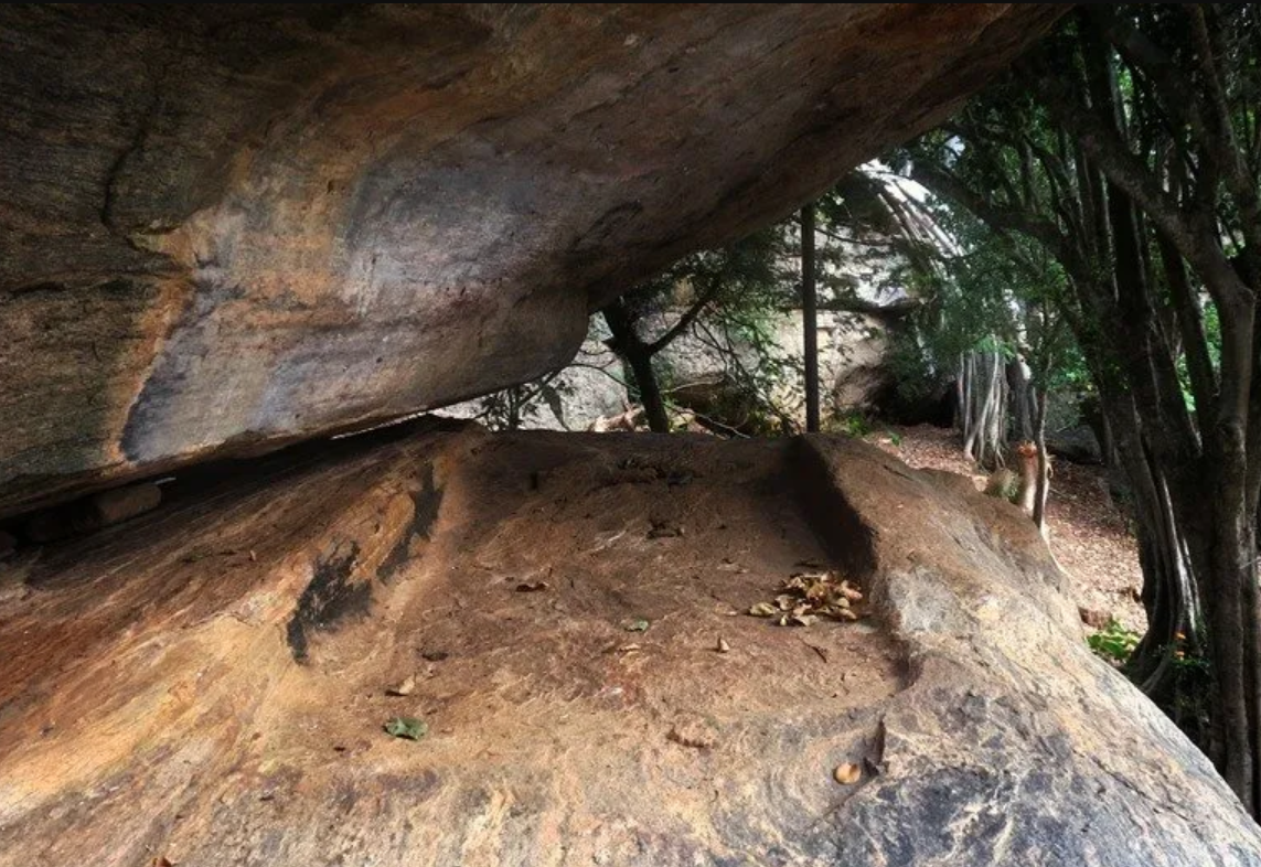 Nature exploration around Wild Hasthi